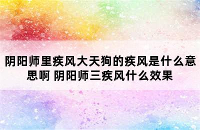 阴阳师里疾风大天狗的疾风是什么意思啊 阴阳师三疾风什么效果